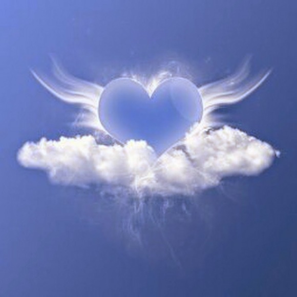 Meet your Posher, Tina - Picture 1 of 1